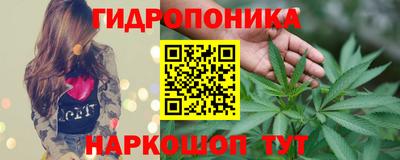 ПСИЛОЦИБИНОВЫЕ ГРИБЫ Нальчик