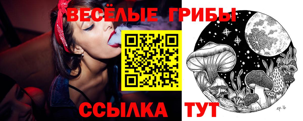 Псилоцибиновые грибы ЛСД Среднеуральск