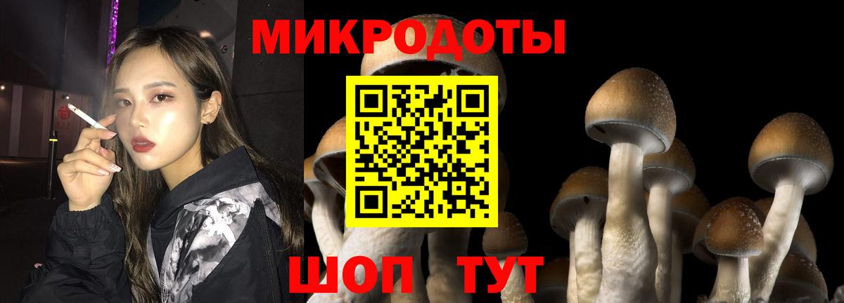 купить наркотики сайты  Вход с VPN  Псилоцибиновые грибы мухоморы  Среднеуральск  Псилоцибиновые грибы Magic Shrooms 